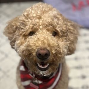 Meet your Posher, Jasmine